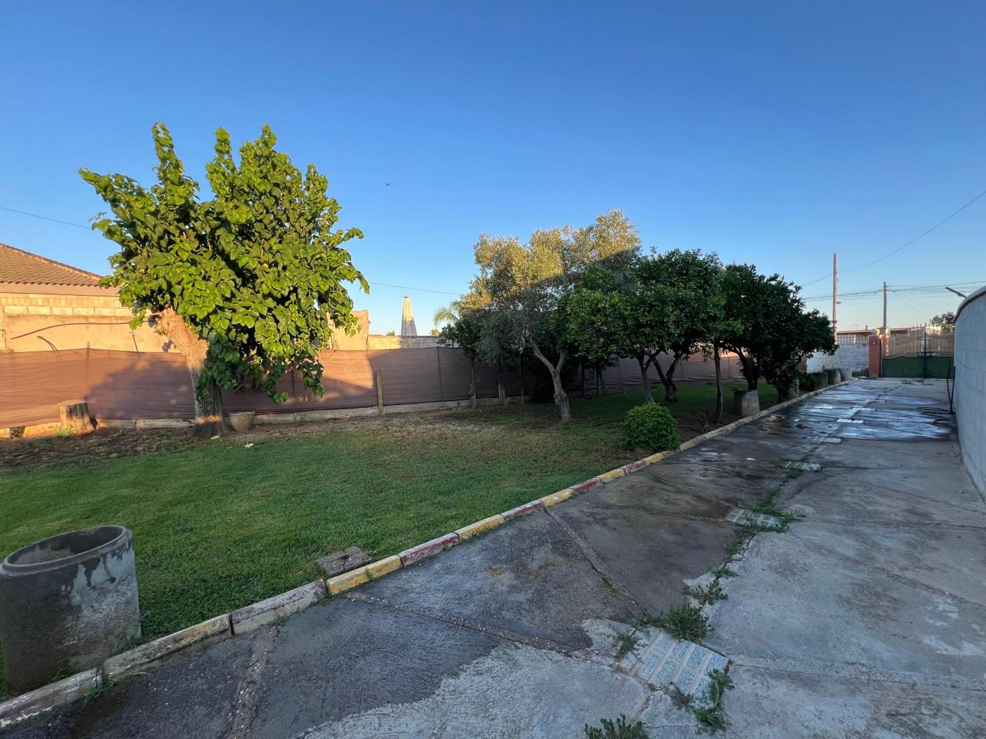 Chalet Piscina Jakuzzi Sevilla Hacienda de Tarazona Dış mekan fotoğraf