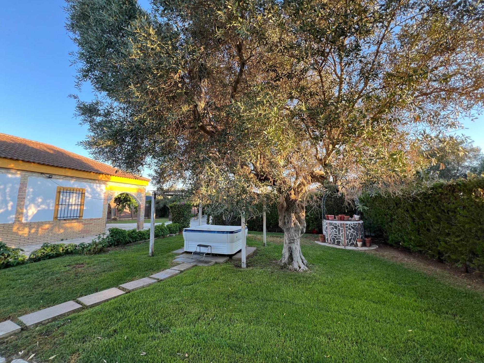 Chalet Piscina Jakuzzi Sevilla Hacienda de Tarazona Dış mekan fotoğraf