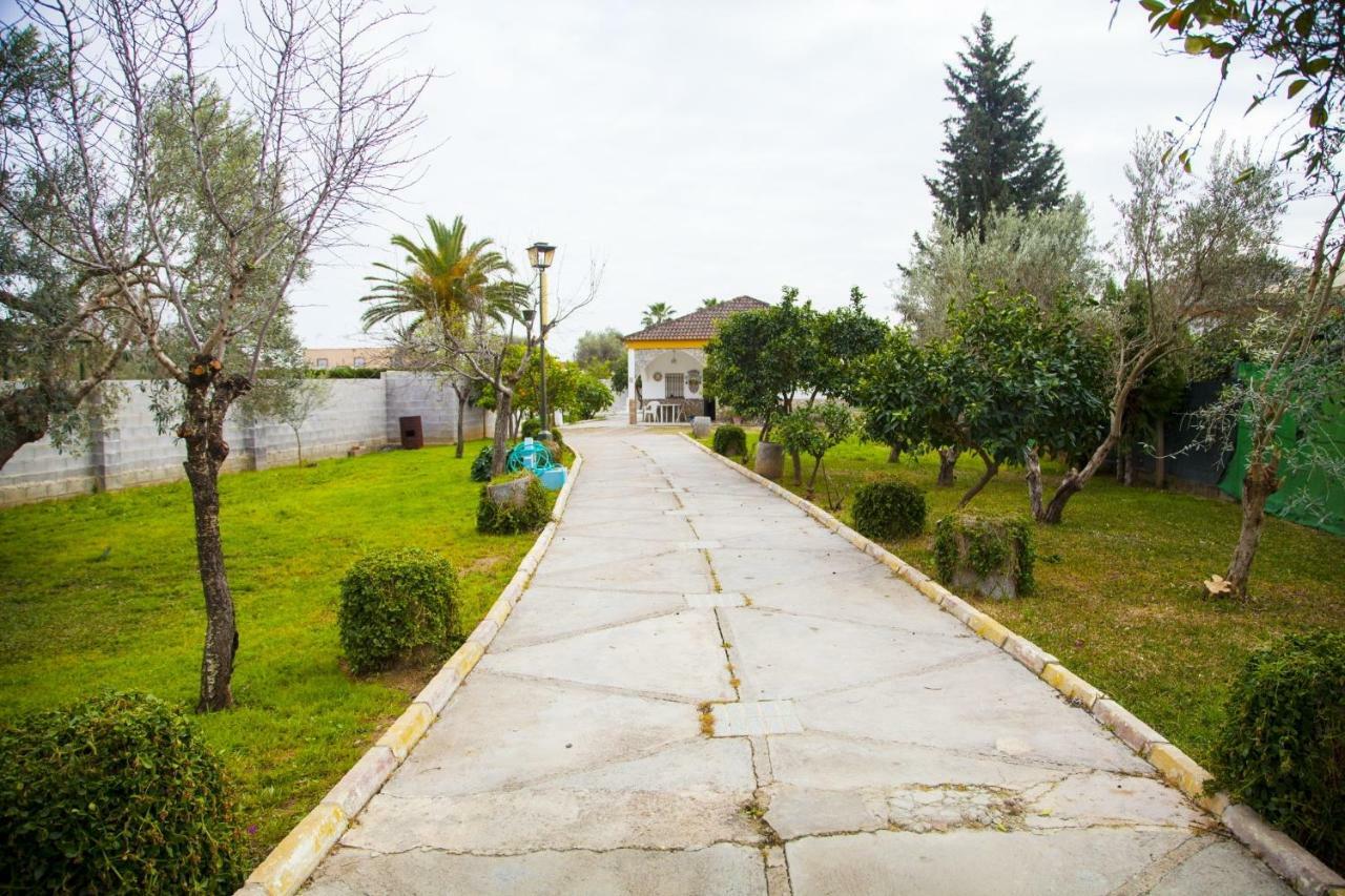 Chalet Piscina Jakuzzi Sevilla Hacienda de Tarazona Dış mekan fotoğraf